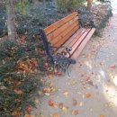 승곡 한의원 이미지