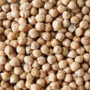 병아리 콩 이미지