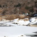 구곡농장 Daum카페