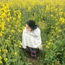 한진2농장 | 2박3일 제주 여행 기록(+제주도 2박3일 2인 경비)