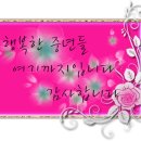 강지풀 이미지