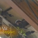 빛나라 크린 이미지
