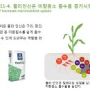 인광농장 | 비료특강 – 인산(출처 이호진 토양과 비료 밴드)