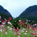 전주옥정호 이미지