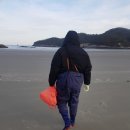 친환경펜션민박 이미지