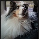 경안충전소 이미지