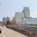 벧엘애견 네이버블로그