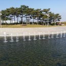 초심 - 강남구 | 초심