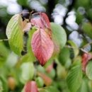 선명한의원 이미지