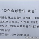 농장자동차공업사 이미지