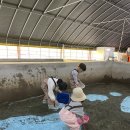 율이네농장 이미지