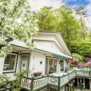 오색로뎀나무아래 이미지