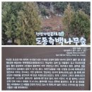 팔공산녹색길 숲길 1코스 | 동구_팔공산녹색길 1코스_2024.12.20~