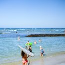 와이키키 이미지