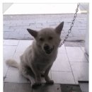 경동동물병원 이미지