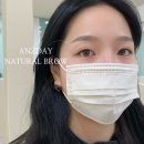 안즈데이 네이버블로그