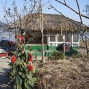 순천만 여행 이미지