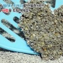 프래쉬애