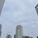 맹그로브 동대문 | [서울 숙소]맹그로브 동대문 후기