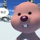 윤쓰