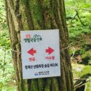 청계산 주차장 이미지