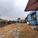 쫑이와메리 | ✨ 쫑이와메리 애견펜션 연천애견펜션 방문 후기 🐶🏡