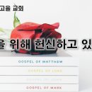 3월 31일(금) 무엇을 위해 헌신하고 있는가? 이미지