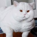 뚠뚠 - 서귀포시 | 뚠뚠