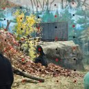 지도 바깥 | [서울대공원 동물원] 17개월 아기랑 유모차 가지고 리프트, 코끼리열차 후기 (지도 첨부)