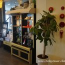 엔제리너스 신모라 이미지