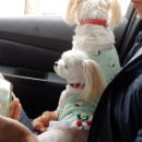 산책가까 이미지