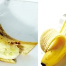 카카오반점 이미지