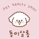 동이살롱 이미지