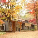 숲속아이 3 이미지