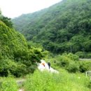 김삿갓면-12 이미지