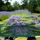 남부농장 이미지