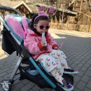 홈브리지 캐빈호스텔 이미지