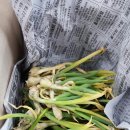 삼동농장 이미지