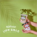 빈포레스트