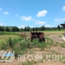 동광리-12 이미지