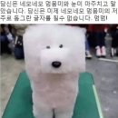 네모의꿈 이미지