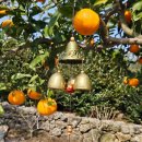 표선해변 인증센터 이미지