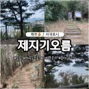 제지기오름 | 서귀포 가볼만한곳 쉬운 오름 추천 제지기오름 20분 올라감 10분 내려감 왕복 30분 보목포구