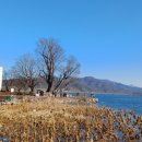 신양수대교