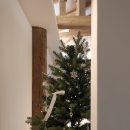 스테이 월화 이미지