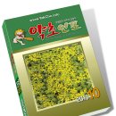 인포디자인(INFO) Daum카페