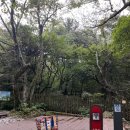 한라산국립공원관음사지구야영장 | 제주도 캠핑-한라산 관음사 야영장에 오셔요