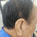 벨톤보청기 | 벨톤보청기 전주센터, 👂 70대 아버님 벨톤 세린 CIC 보청기 착용 후기