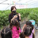 청동기박물관 이미지