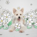 멍블멍블 이미지